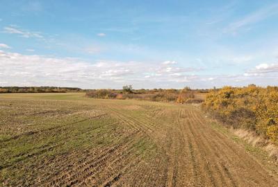 Bucovat - Lot Intravilan 2.27 Ha, PUZ inceput, Rezidentia... - 5