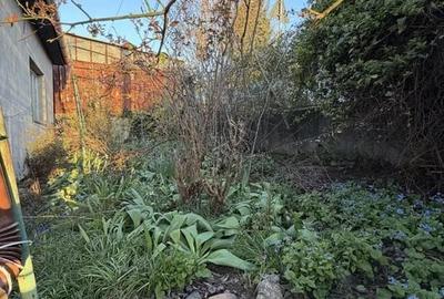 Casă individuală cu 3 camere cu Canalizare în Gruia - 3