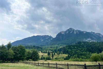TEREN INTRAVILAN DEOSEBIT, ZARNESTI, VALEA BARSEI - 9