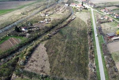 Teren intravilan Balint 22.500 mp - 12