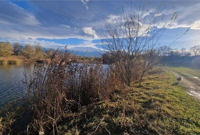 Ocazie!Oaza de liniste in satul Colun,cu 572mp ,la 40km de Sibiu Ocazie!Oaza de liniste in satul Colun,cu 572mp ,la 40km de Sibiu - 36