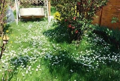 Casă cu 4 camere cu Teren 350 Mp în Florești - 12