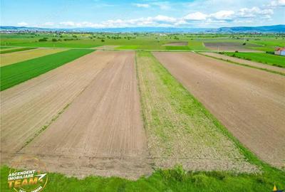 FILM! Teren intravilan industial, cu PUZ si acces la DJ112, Sfantu Gheorghe FILM! Teren intravilan industial, cu PUZ si acces la DJ112, Sfantu Gheorghe - 4