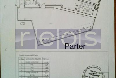 Spațiu comercial, de 200 mp, în Dacia - 24