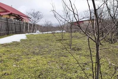 Teren de 1168 mp, în Frumușița - 9