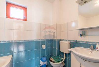 Casa de vanzare Jucu de Mijloc, Zona Panemar Teren intrav... - 8