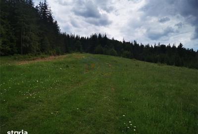 Teren de 1000 mp, în Mălini - 5