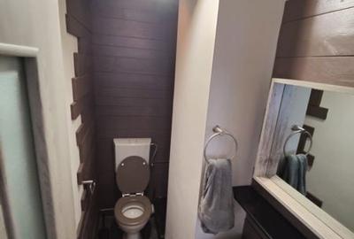 Apartament cu 3 camere în Grigorescu - 3