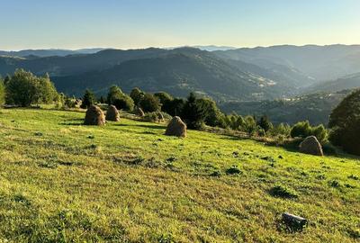 Teren Comuna Horea 17278m2. Apuseni - 1