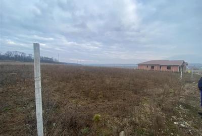 RECO teren Marghita - 1