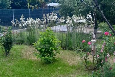 Casă cu 7 camere cu Teren 3000 Mp în Central - 6