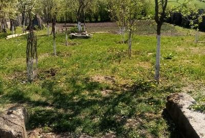 Teren de 700 mp, în Băcălești - 2