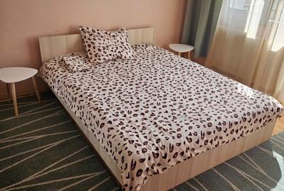 Apartament cu 2 camere semidecomandat în Mioriței - 4