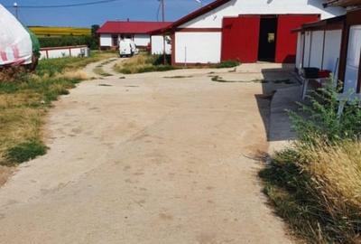 Fermă zootehnică utilată, 1000 m² construiți, comuna Dulceanca, Teleorman - 1