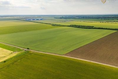 Teren agricol extravilan de 44900 mp, în Aradul Nou - 10