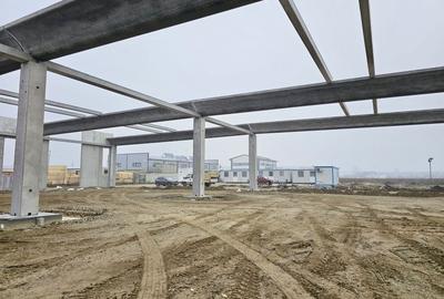 Vanzare hale/depozite/productie -industrial-Chitila - Rudeni, ILFOV - 9