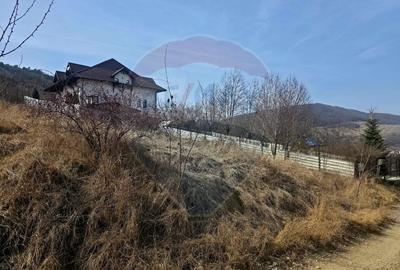 Teren Construcții intravilan de 500 mp, în Calea Romanului - 6