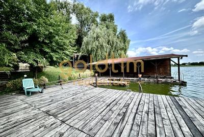 Casă individuală cu 10 camere cu Piscina în Snagov - 5