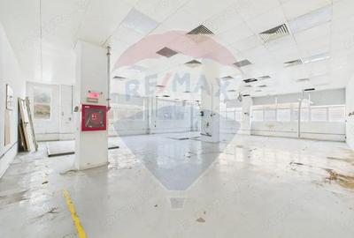 Spațiu comercial, de 3,000 mp, în Vitan - 8