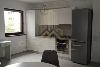Apartament cu 2 camere semidecomandat, mobilat în Europa - 2
