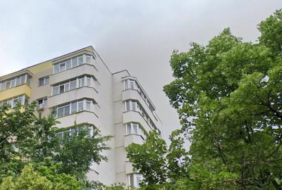 Teiul Doamnei x Doamna Ghica, aproape Facultatea de constructii - 1