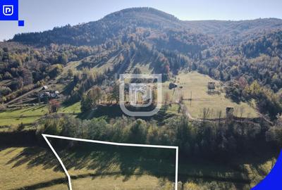 Teren Construcții extravilan de 5000 mp, în Vama - 5