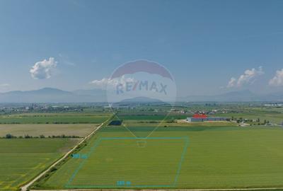 Teren industrial de vanzare DN13, Brasov - 1