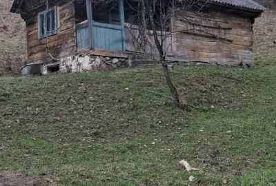 Spațiu comercial, în Valea Vișeului - 2