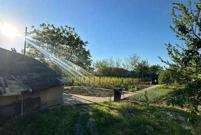 Casă cu Teren 1167 Mp în Băneasa - 9