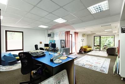 Vanzare Spatiu Comercial / Birou, Str. Popa Tatu -Cismigiu, Investitie - 8