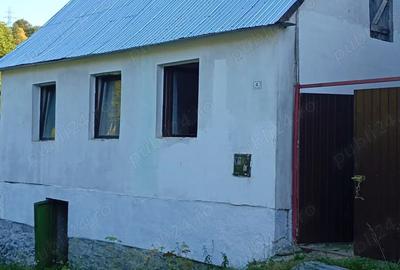 Vand casa de vacan?a in ANINA, jud Cara? Severin - 1