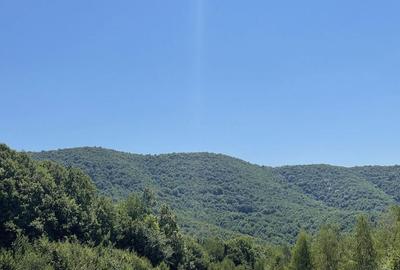 Teren de 45809 mp, în Mădrigești - 18