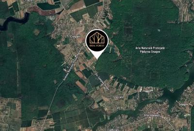 Teren de 554 mp, în Izvorani - 6