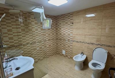 Pensiune Premium lângă Sarmizegetusa și Parcul Retezat - 8