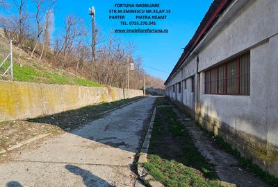 Hala si teren , Piatra Neamt - 1