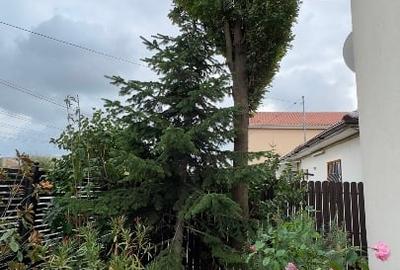 Casa de vanzare , Loc. Cumpana , jud. Constanta ! Preț redus recent ! - 6