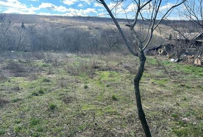 Casă cu 2 camere în Central