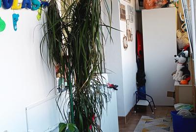 Apartament cu 2 camere semidecomandat, mobilat în Olteniței - 7