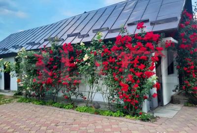 Casă cu 7 camere cu Teren 3000 Mp în Central - 3