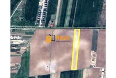 CHITILA, DRUM NATIONAL 7 SABARENI, PADURE - 5