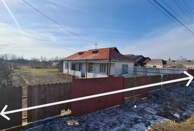 Casă cu 2 camere cu Teren 3860 Mp în Bizighești - 3