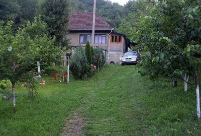 Casă cu 3 camere în Dumbrava - 10