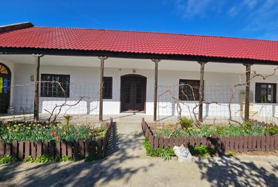 Casă individuală cu 6 camere cu Garaj în Sânandrei - 28