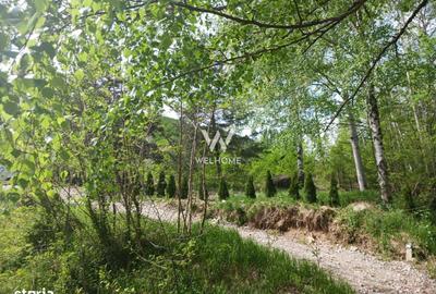 Spațiu comercial, în Gura Râului