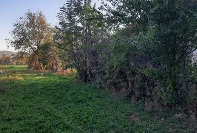Teren Construcții intravilan de 1500 mp, în Mușcel