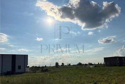 Spațiu comercial, în Moșnița Nouă - 1