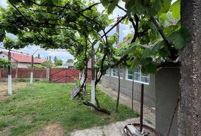Casă cu 3 camere în Diosig - 5