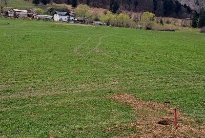 Teren Construcții intravilan de 1000 mp, în Sud-Est - 11