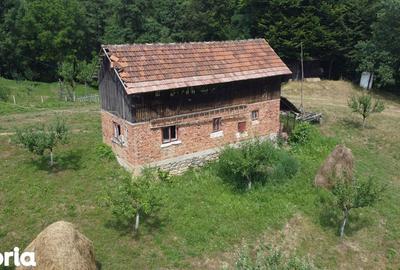 Teren de 6200 mp, în Cicănești - 11