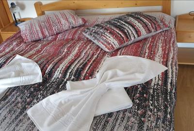 Casă cu 3 camere în Sasca Montană - 7